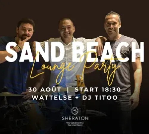 Sand Beach Lounge Party