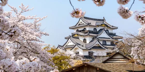 Château Hikone