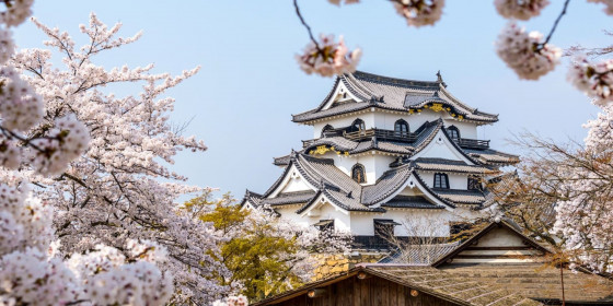 Château Hikone Château Hikone