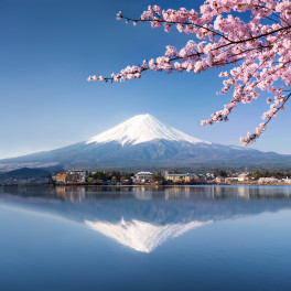 Tokyo Tokyo