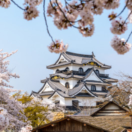 Japon Japon