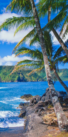Hawai Hawai