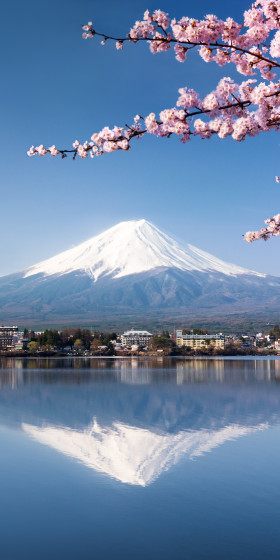 Tokyo Tokyo
