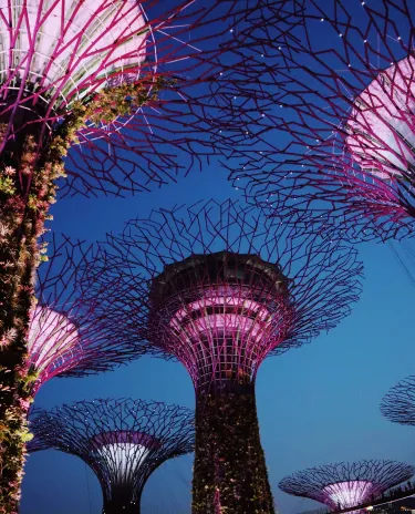 Singapore night garden by the bay