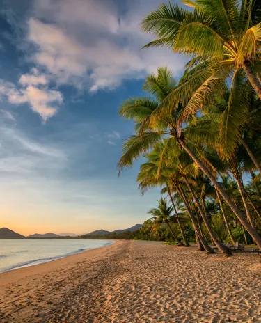 Cairns - Palm Cove Cairns