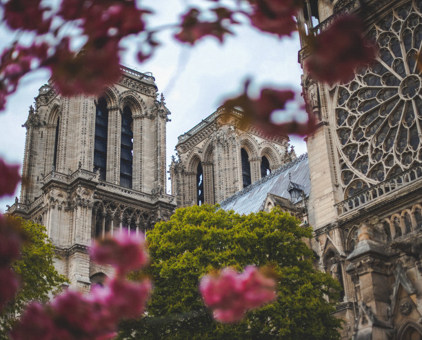paris paris