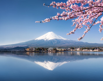 Tokyo Tokyo
