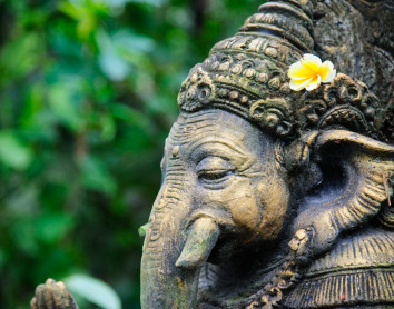 Bali Bali