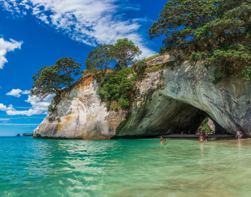 NZ NZ