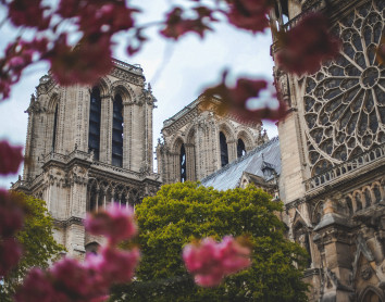 paris paris