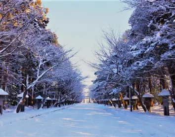 Hiver à Sapporo