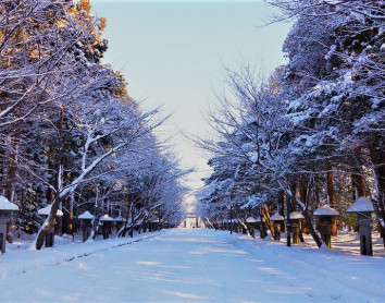 Sapporo Hiver à Sapporo