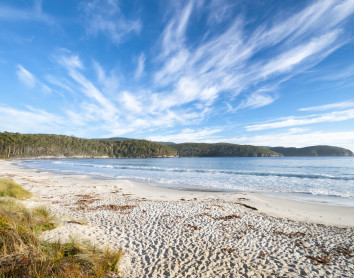Plage d'Hobart Hobart Plage Sable Tourisme