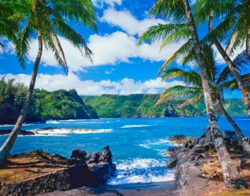 Hawaï Maui Plage Paysage Cocotiers