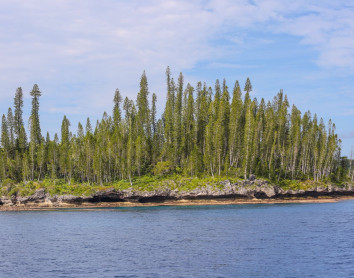 Paysage de Maré Paysage Maré Sapin Ilôt