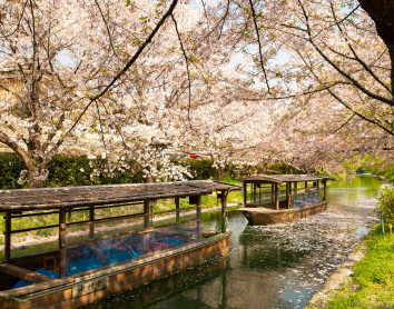 Fleuve de Nagoya Nagoya Fleuve Cerisier Promenade Barque