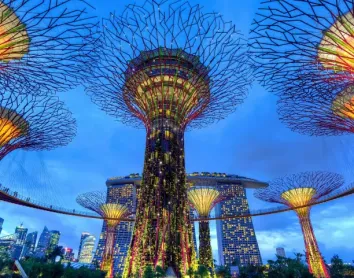 expérience nocturne au Gardens by the Bay expérience nocturne au Gardens by the Bay